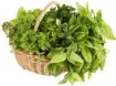  Herbs