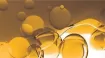  Oils